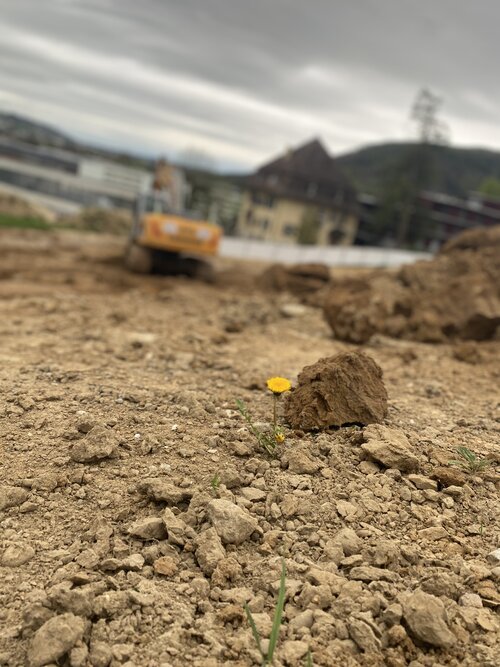 Oberstadt Aarburg - unsere neuste Baustelle für die Artemis Immobilien AG!