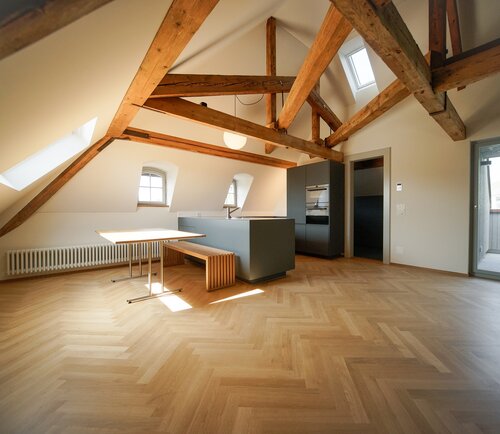 Villa Meyer, Sursee