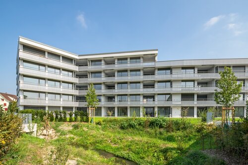 Vorstatt, Nebikon
