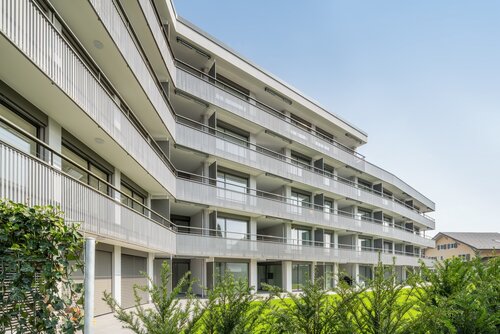 Vorstatt, Nebikon