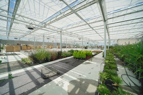 Beck AG, Emmen