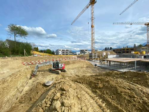 Fortschritte im Grünrainpark – Schritt für Schritt zum neuen Zuhause