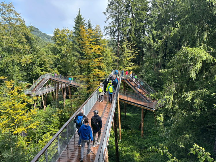 Ein unvergesslicher Teamausflug!