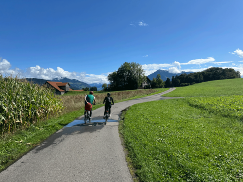 Ein unvergesslicher Teamausflug!