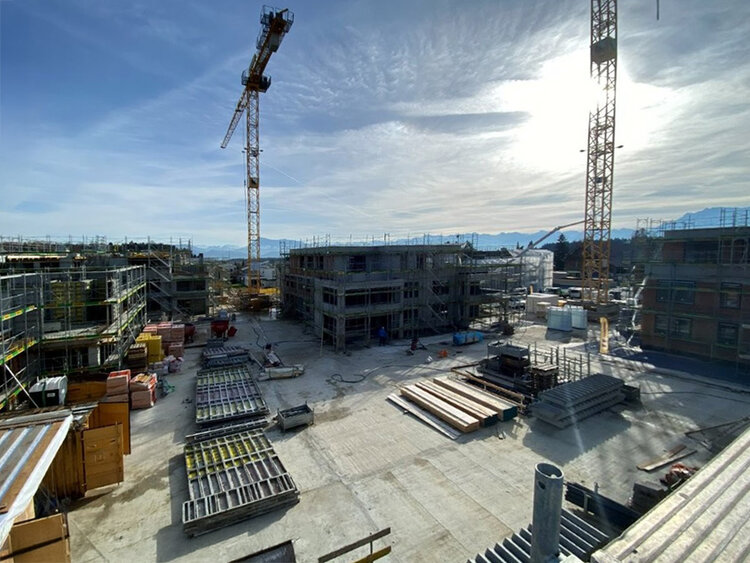 Ein Jahr Grünrainpark: Das Projekt wächst weiter