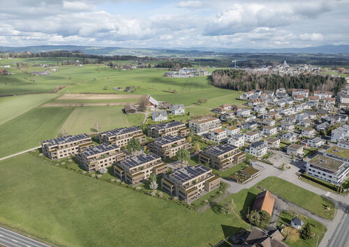 Ein Jahr Grünrainpark: Das Projekt wächst weiter
